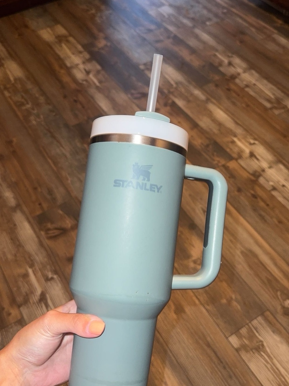 Stanley Mint Green Insulated Tumbler with Handle and Straw